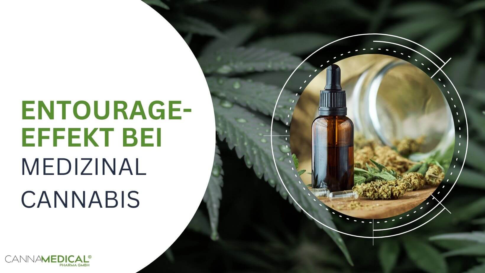Entourage Effekt Thc Medizinalcannabis